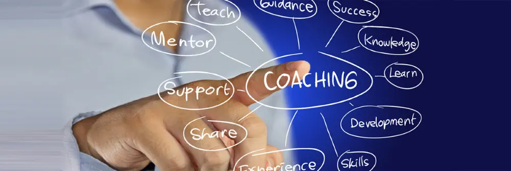 _The Coach_.webp