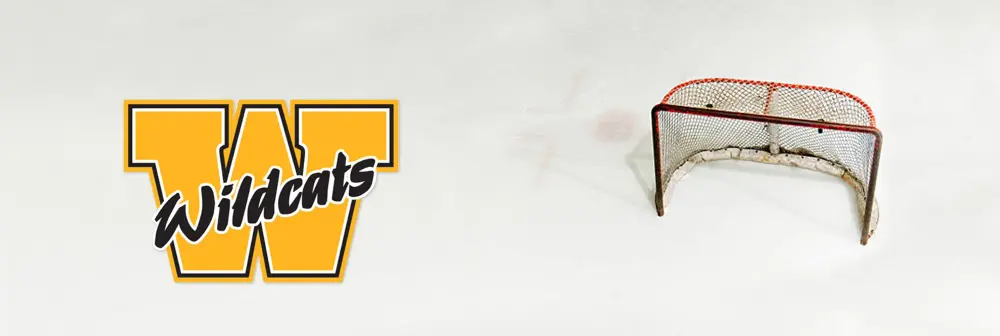 A CoachThem Association_ Warman Minor Hockey.webp
