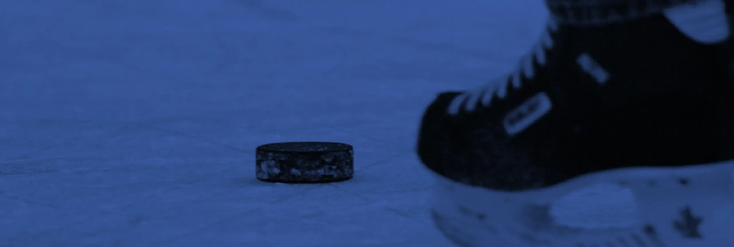 Sharpen your skills, not your skates..webp