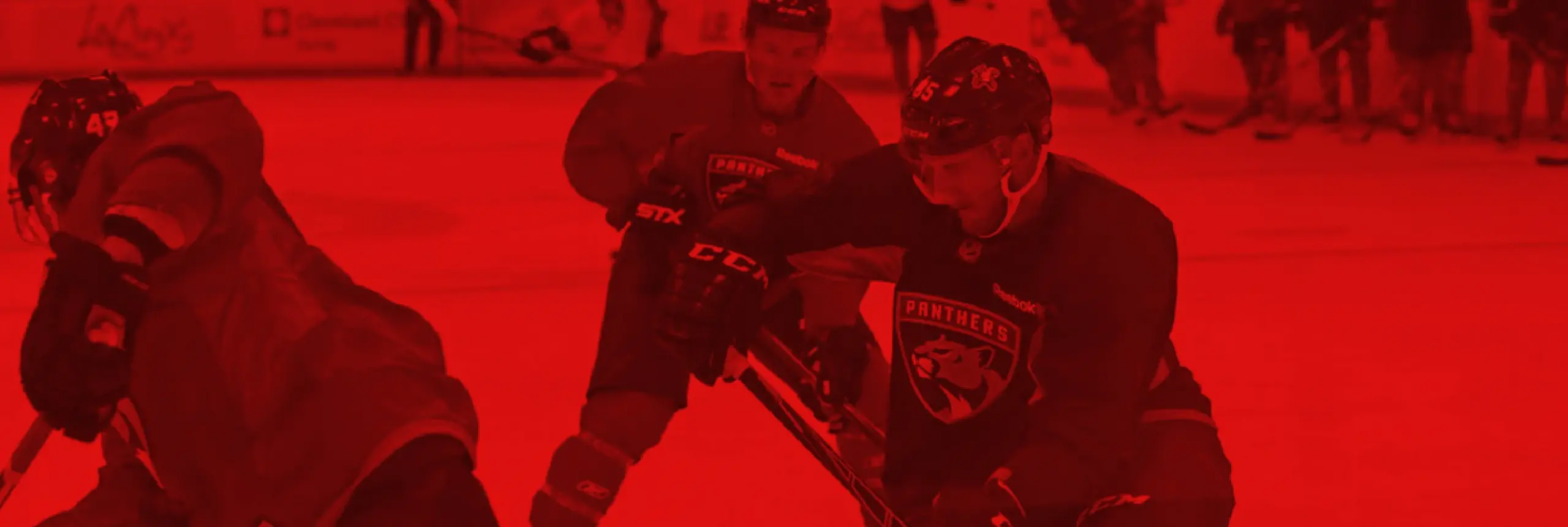 Florida Panthers Training Camp.webp